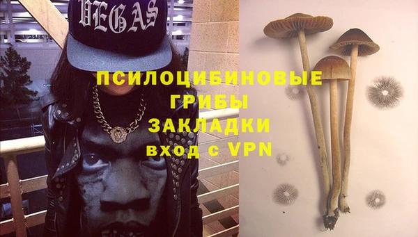 apvp Алексеевка
