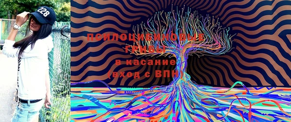 круглые Абинск