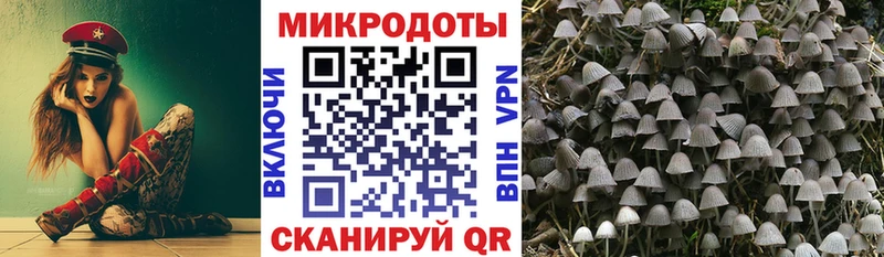 mega ссылка Электроугли Псилоцибиновые грибы ЛСД